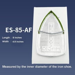 Magic Iron Shoe